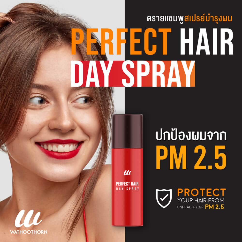 PERFECT HAIR DAY SPRAY