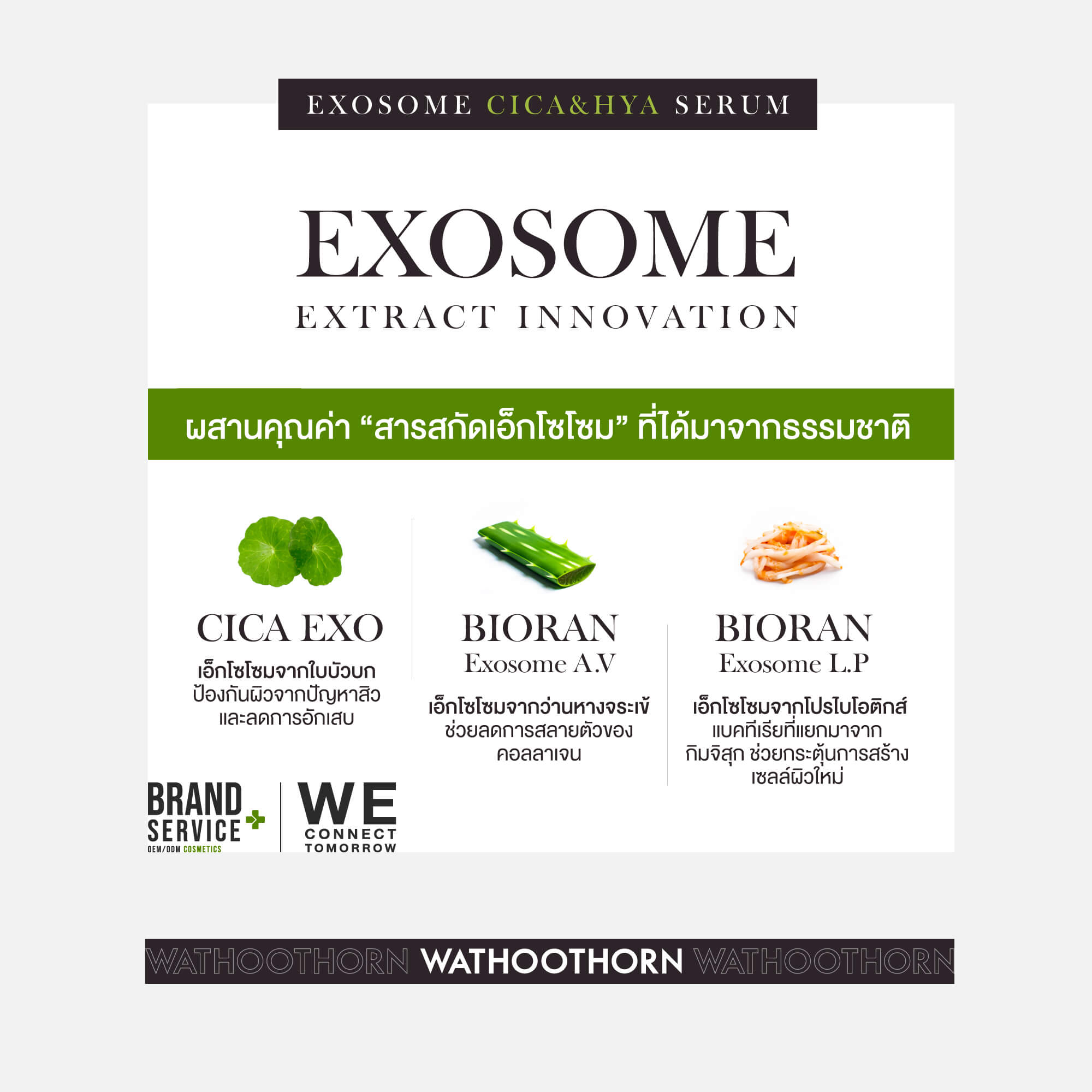 CICA EXOSOME SERUM - Image 2