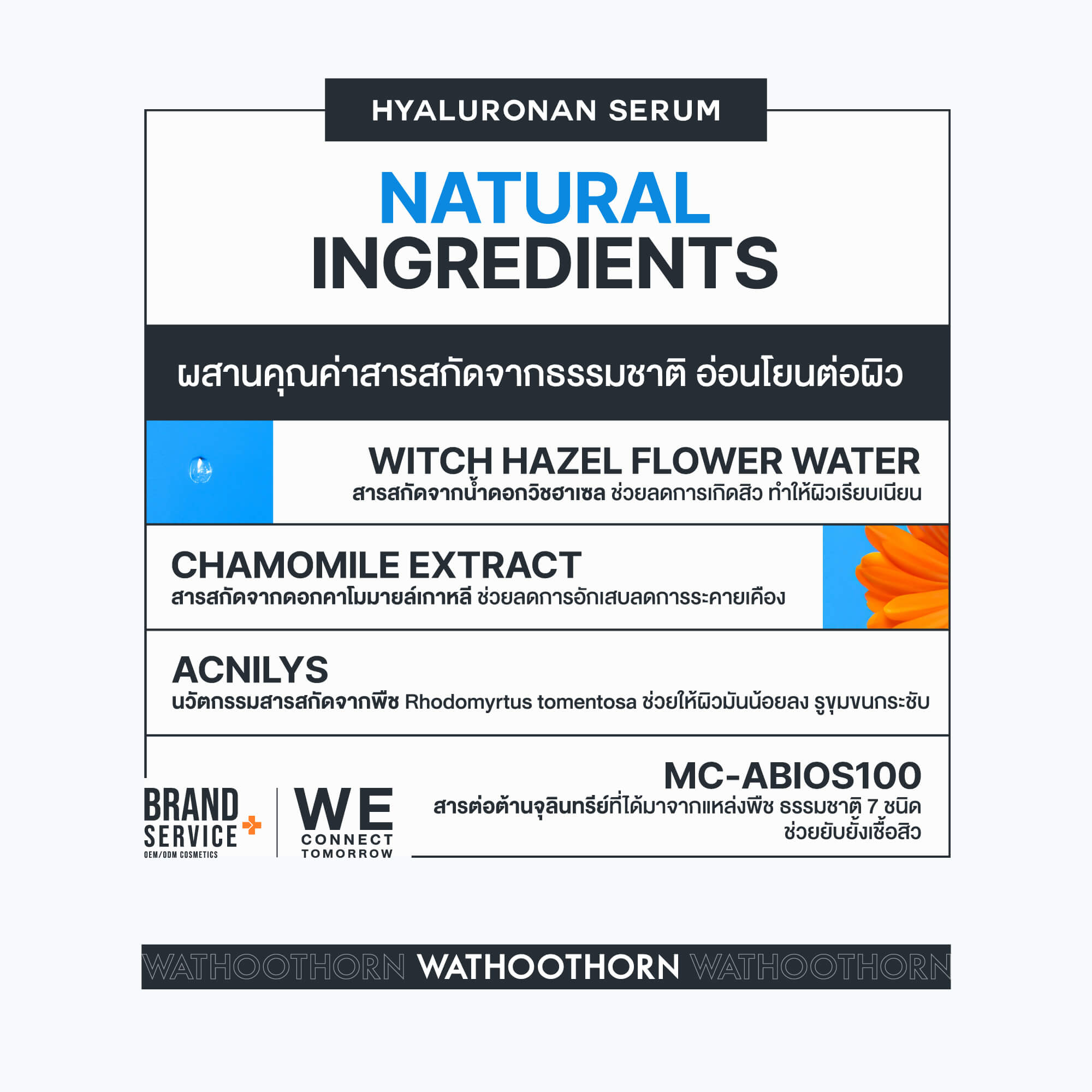 11D HYA MULTI COMPLEX SERUM - Image 3